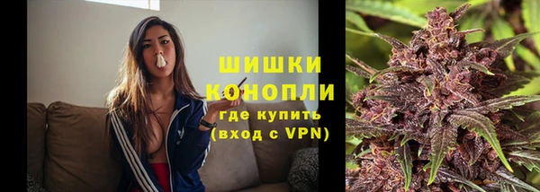 амф Богородск