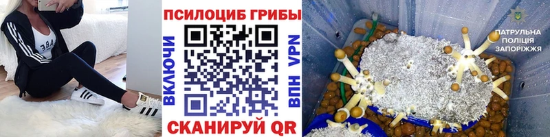 Галлюциногенные грибы прущие грибы  Кузнецк 