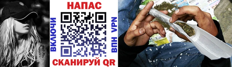 Канабис планчик mega вход Кузнецк